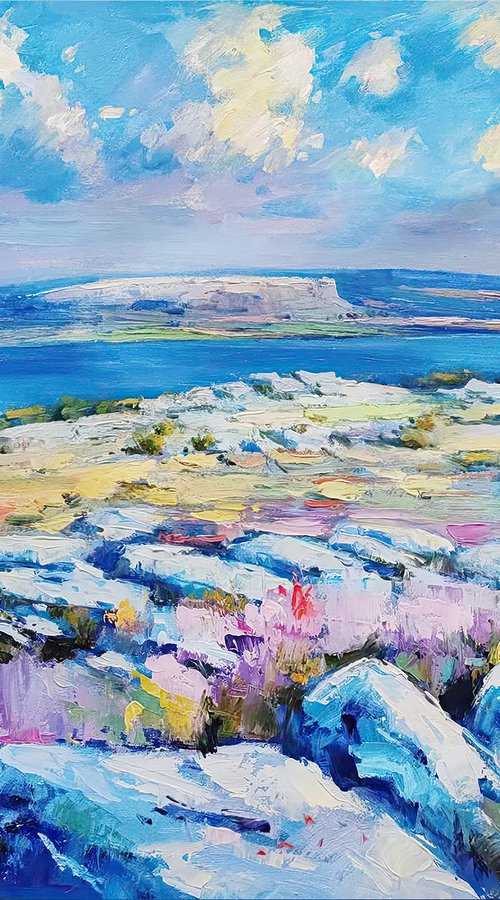 Summer On The Burren by Conor McGuire