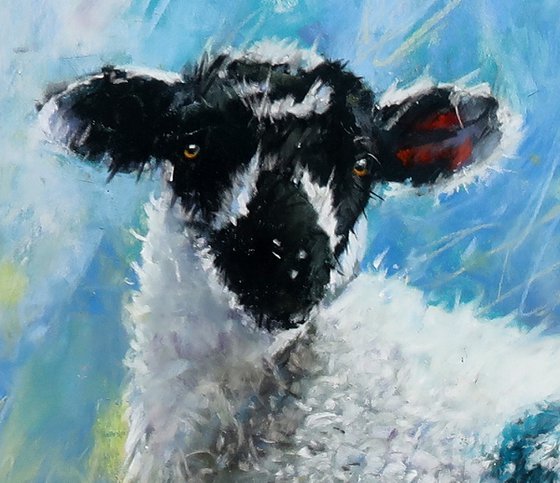 Holmfirth Lamb