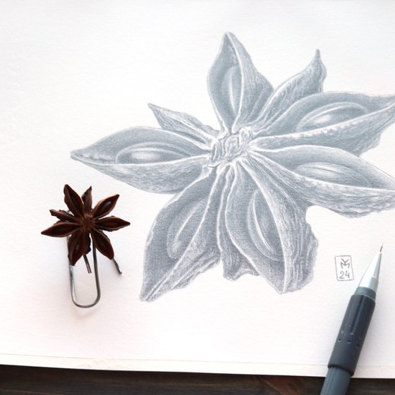 Star Anise Silverpoint