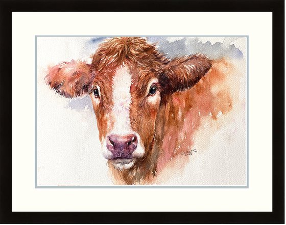 Brown Cow_ Midsummer Gaze