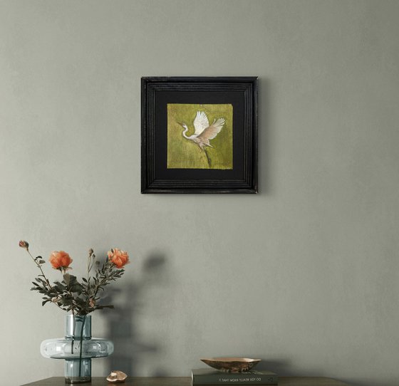White Egret