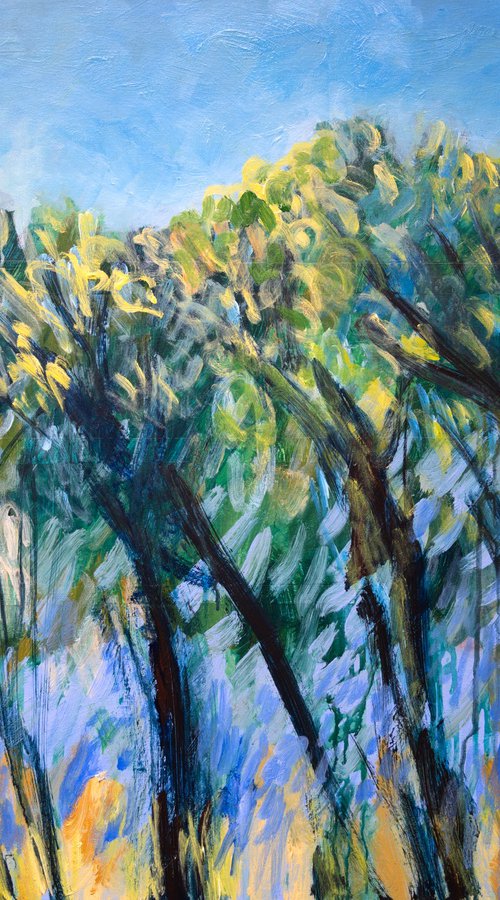 The Bluebell Forest by Elizabeth Anne Fox