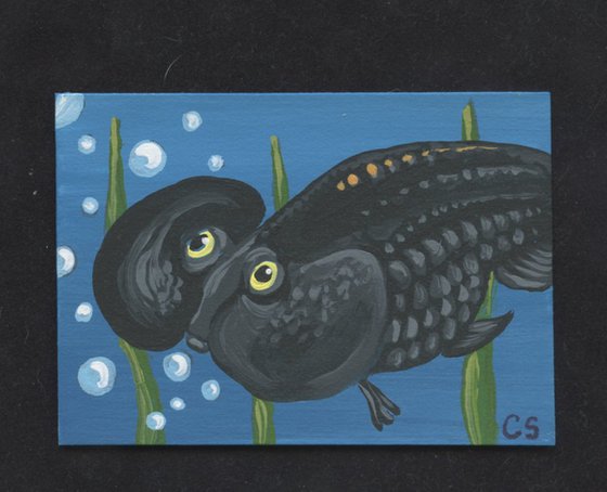 ACEO ATC Original Miniature Painting Black Bubble Eye Goldfish Pet Art-Carla Smale