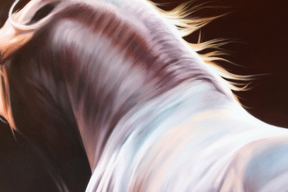 Beauty in the shadows