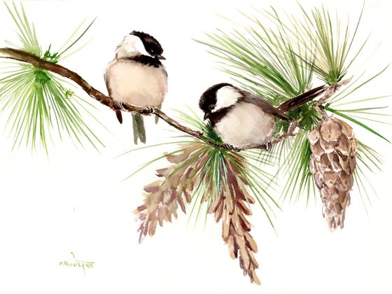 Chickadees on the Pine Tree