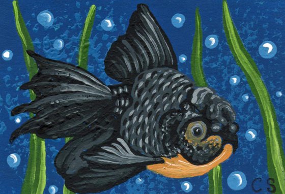 ACEO ATC Original Miniature Painting Blue Black Oranda Goldfish Pet Art-Carla Smale