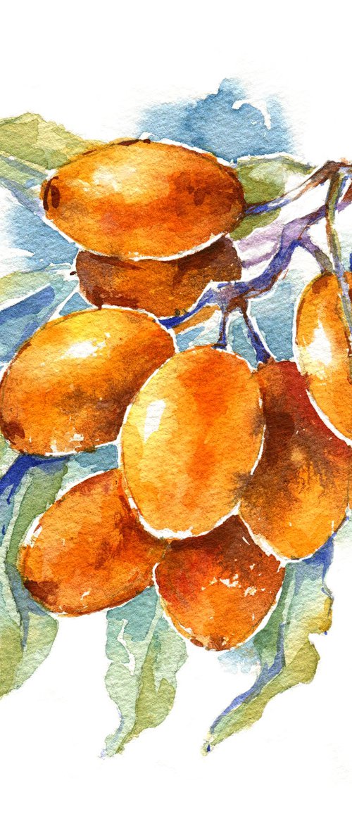 "Sea buckthorn" from the series of watercolor illustrations "Berries" by Ksenia Selianko