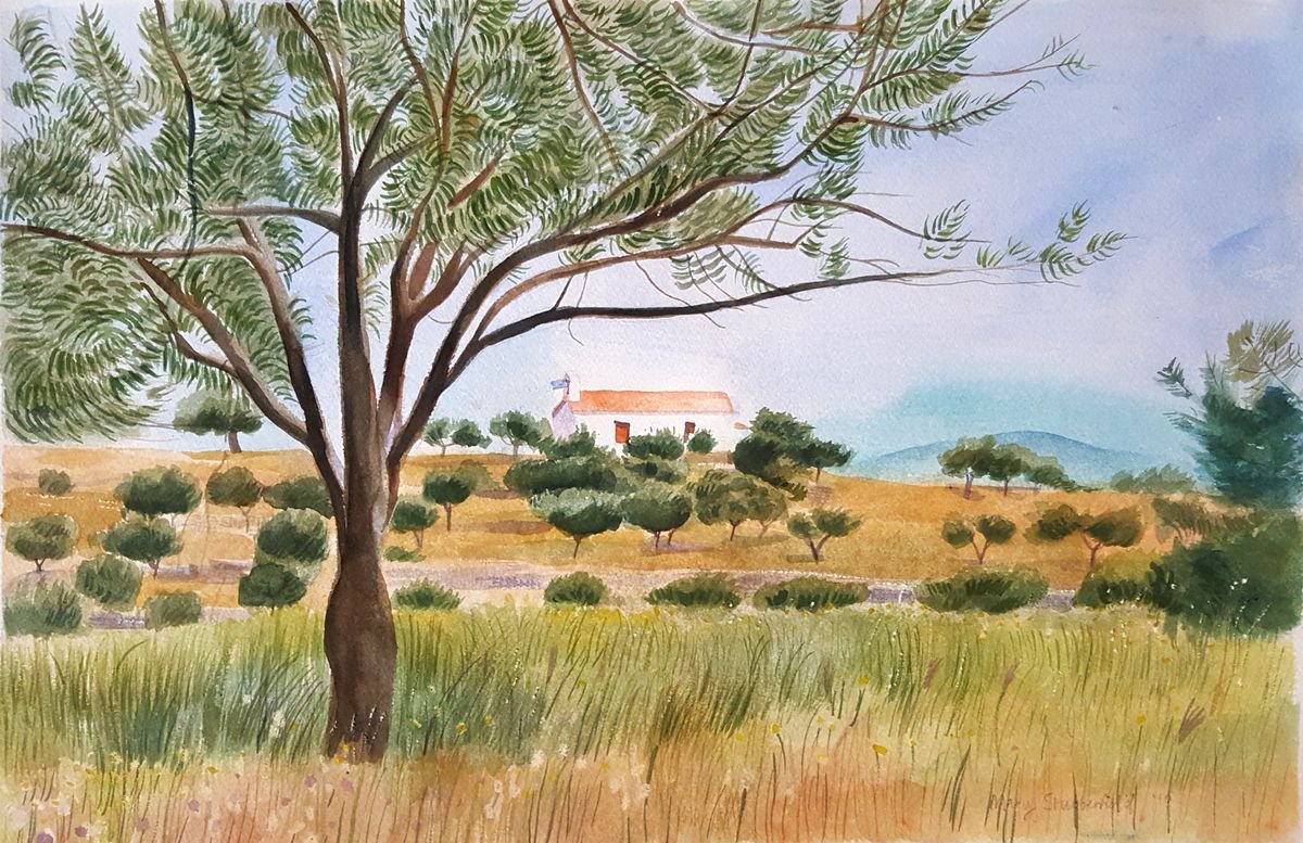 Olive tree with church by Mary Stubberfield