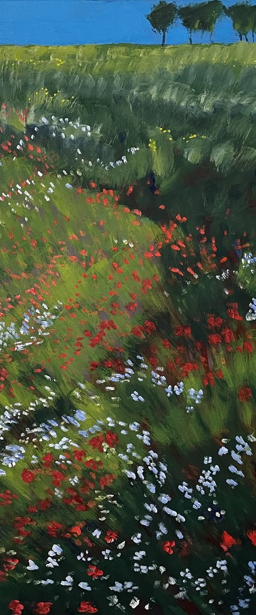 'Wildflowers growing along the edge of a pathway, Fife' by Stephen Howard Harrison