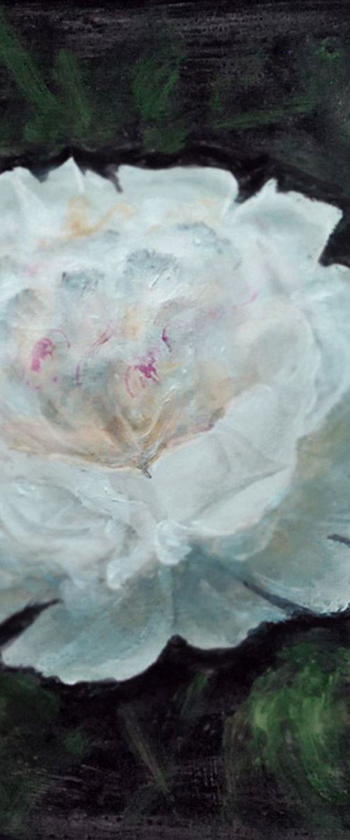 flower4 by Vishalandra Dakur