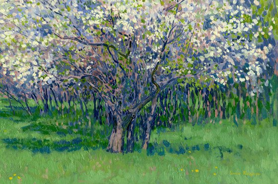 The Cherry Orchard