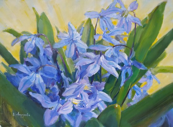 Snowdrops