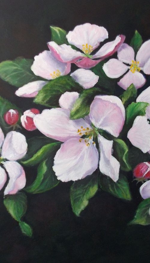 APPLE BLOSSOM by Lynda Cockshott