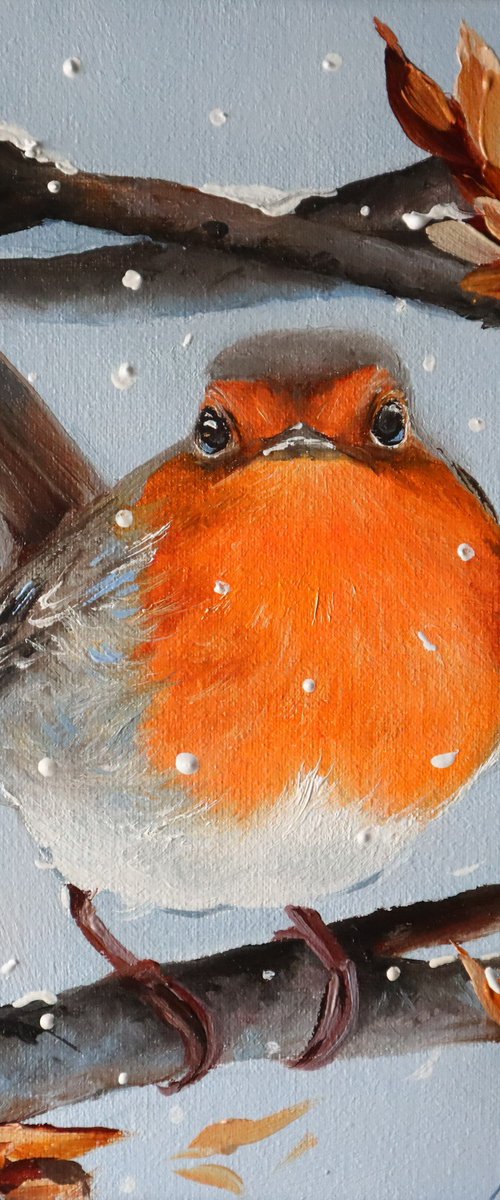 Winter Robin in Snow by Natalia Shaykina