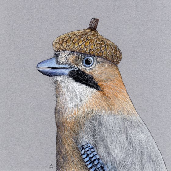 Eurasian jay