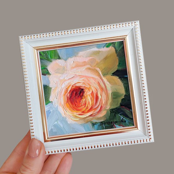 Orange rose