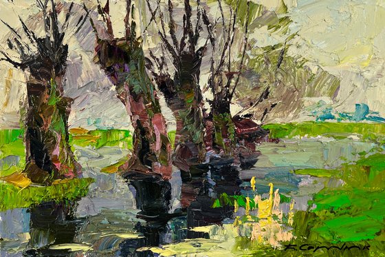 Spring at the Green Pond