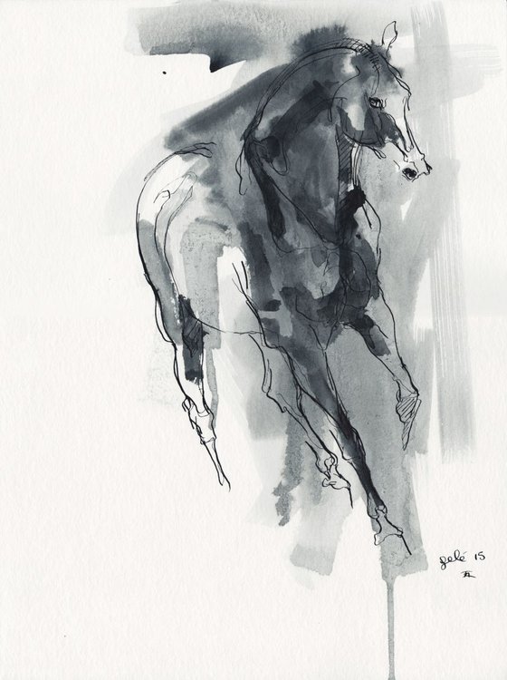 Equine Nude 104