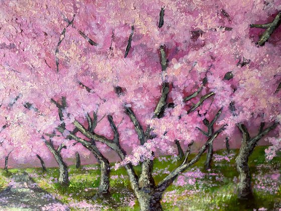 Under Blossom Trees