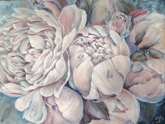 Pre-dawn Peonies. Original.