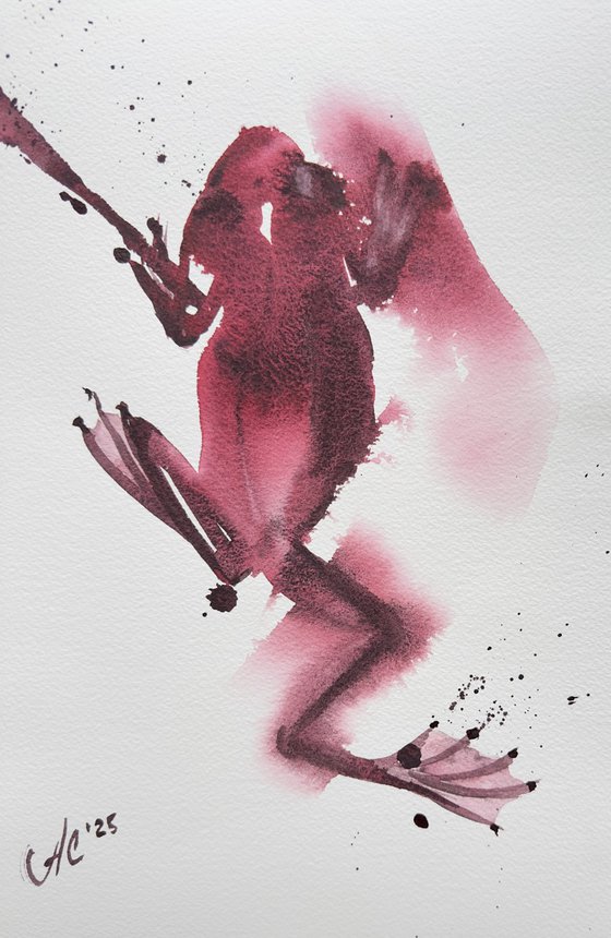 Animal: Chameleon and Frog