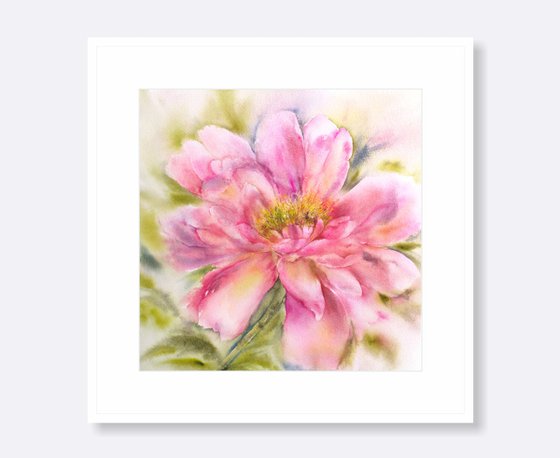 Peony. Pink flower watercolor painting