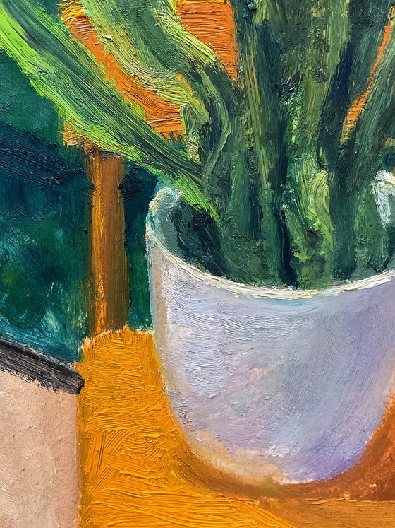 Sanseveria in White Pot Study