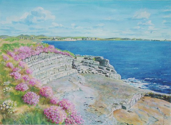 Sea pinks and Limestone Cliffs, Scarlett, Isle of Man