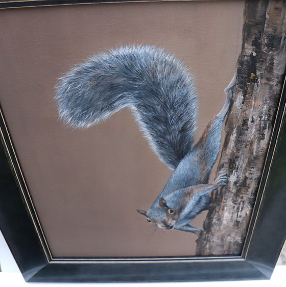 The Cheek of the Squirrel