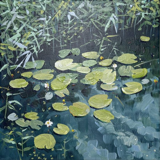 Water lilies.Twilight on the pond.The bay pond