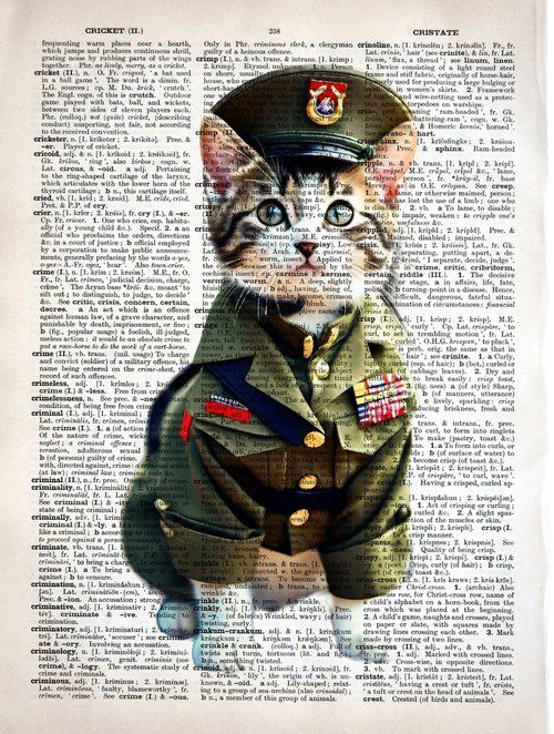 Military Dressed Kitty 2 by Misty Lady - M. Nierobisz