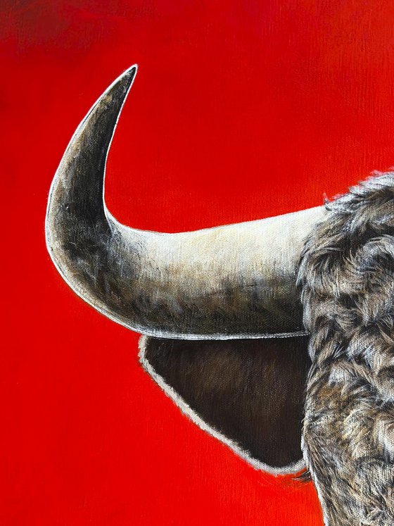 Bull