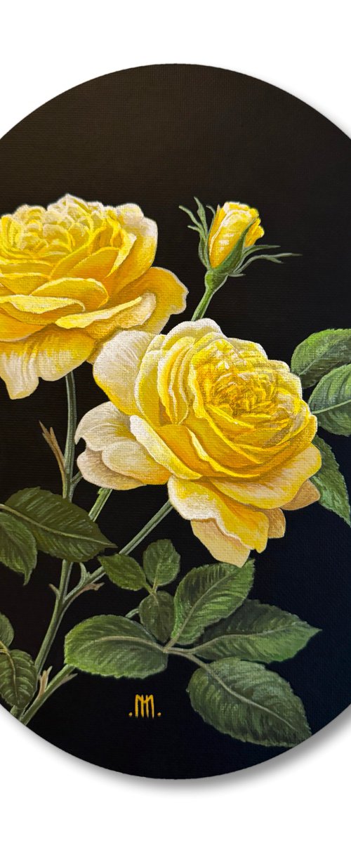 Rosa Xanthina Lindl (Yellow Rose) by Mason Holcomb