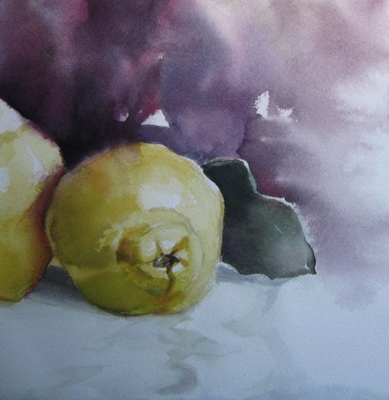 Quinces, autumn fruits - still life, 38x27 cm