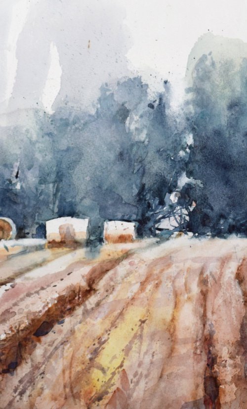 Wheat field by Goran Žigolić Watercolors