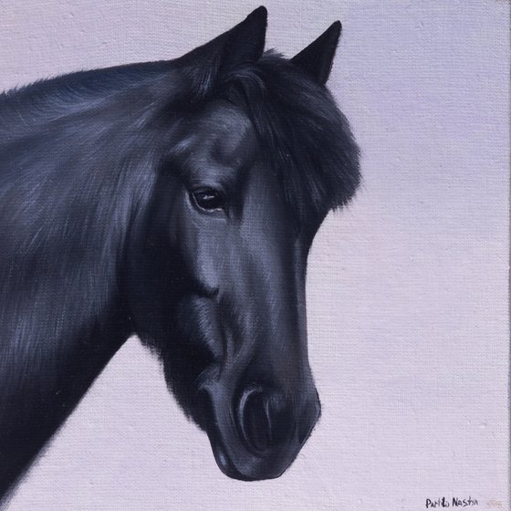 Horse Portrait 76
