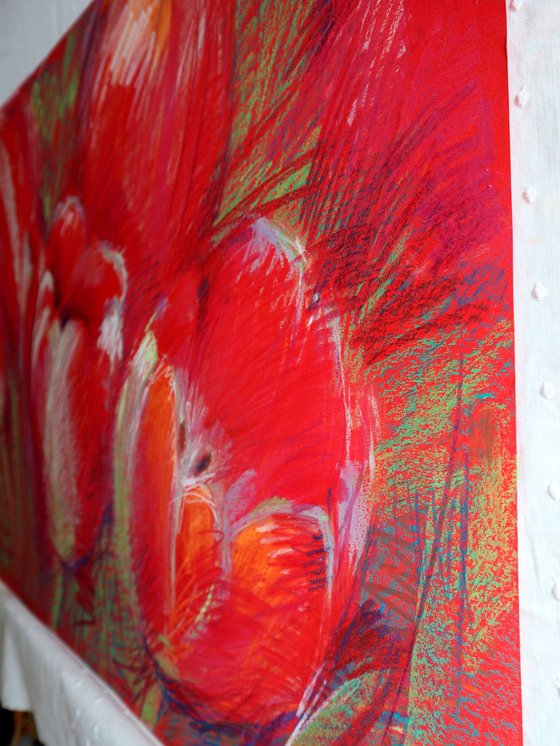 Tulips Red