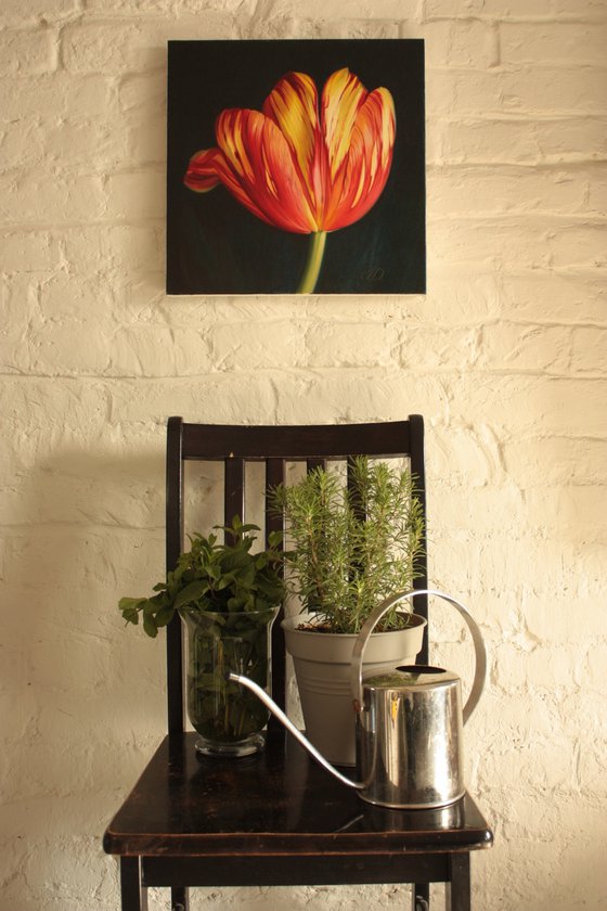 The small tulip.