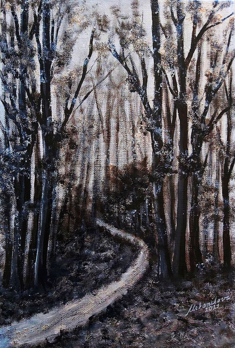In the dark forest .. by Emlia Urbankov