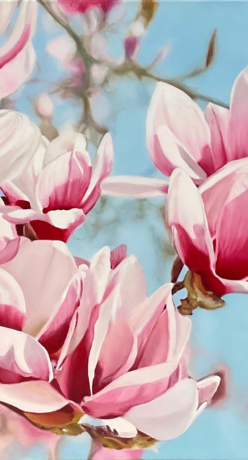 Magnolia Flowers by Alla Kallas