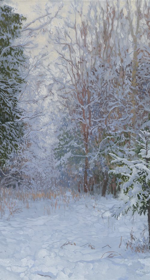 Winter forest by Simon Kozhin