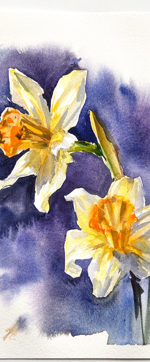 Narcissus on blue by Nataliia Nosyk