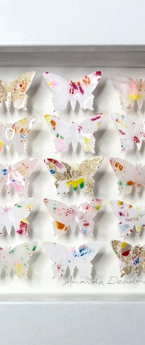 Quindici farfalle (Terrazzo) by Amanda Deadman