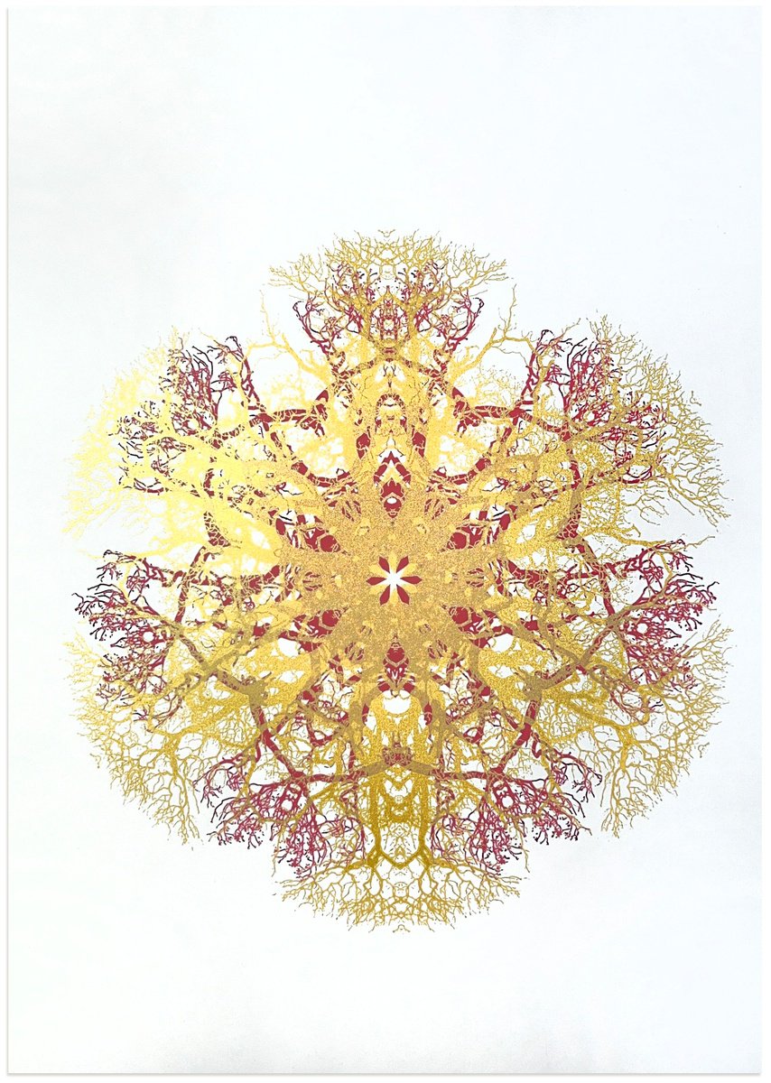 Geometric Botanical Screenprint By Chris Keegan, 12 X 17, Rhythmic In Red, Original Artwork