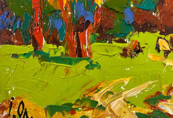 Summer evening in the forest