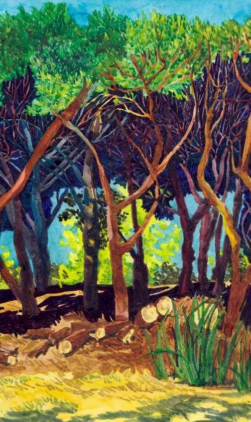 Pine Trees by Aleksandra Mitkalova