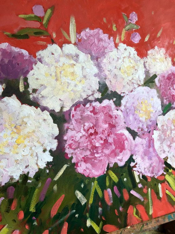 Peonies