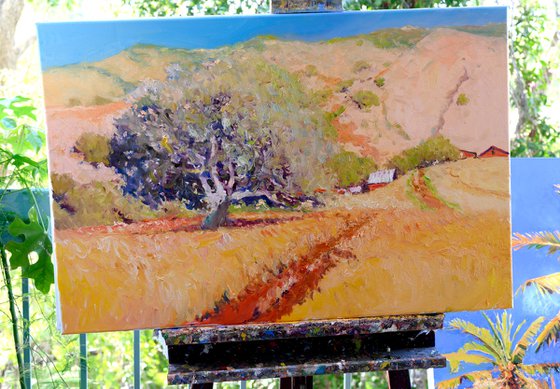 Summer Landscape, California