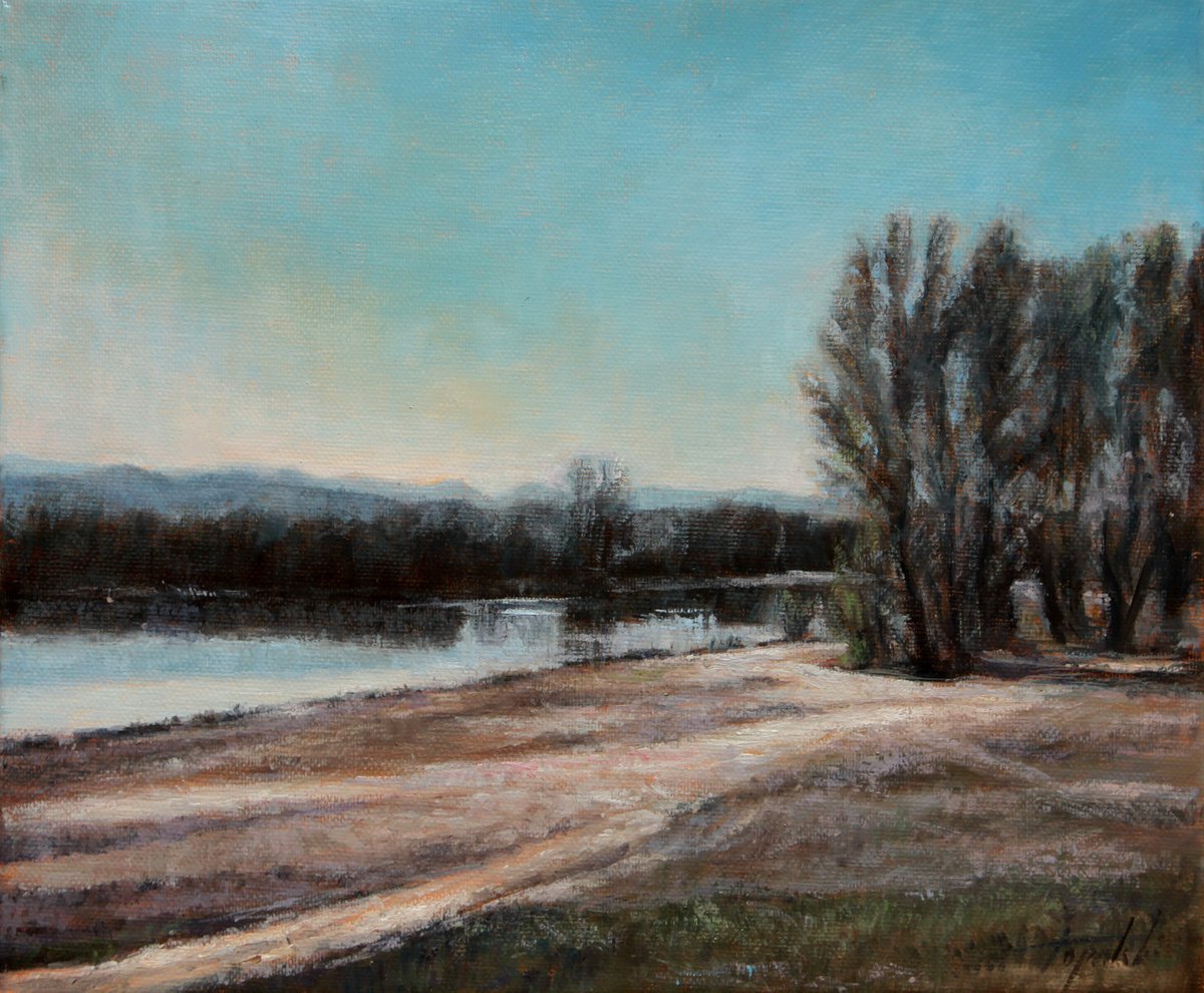By the Danube River Pond by Darko Topalski