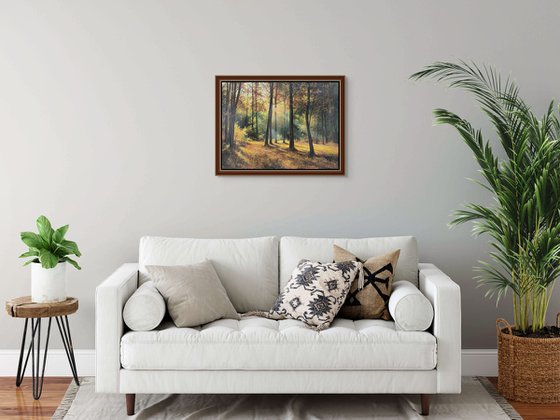 Sunlit Autumn Forest